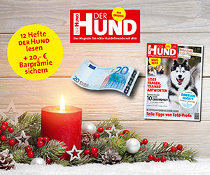DER HUND Magazin Abo - 12 Hefte + 20,- € Barprämie